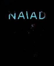 《NAIAD》免安装中文版