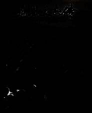 《龙胤立志传》v0.8.1f6b8 九十项修改器[3DM]