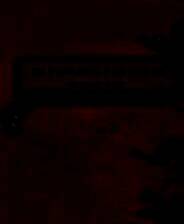 《非洲拯救计划》简体中文免安装版