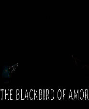 《阿莫尔黑鸟》英文免安装版