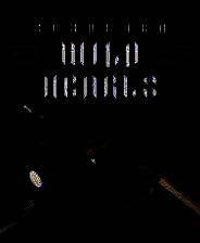 《再见狂野之心》简体中文免安装版