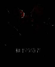 《和平缔造者：腥红帝王》游戏库