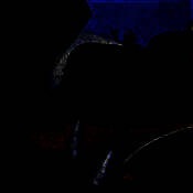 训练马匹模拟器 V1.1