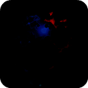 狂欢：征服世界 V1.1.12