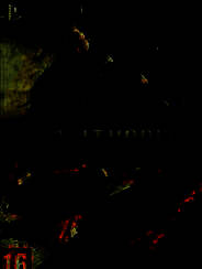 《皇牌空战7：突击地平线》官方简体中文免安装版