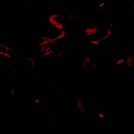 背包自走棋 免广告版 V1.0