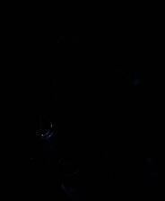 《伊洛纳》简体中文免安装版