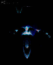 《极速空间：星系 终极版》  官方简体中文免安装版