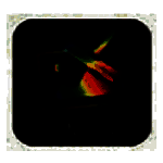 WidsMob Denoisev2.5.7