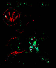 《螺栓时代》英文免安装版