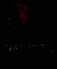 《嗜血之王：崛起》游戏库