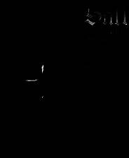 《盐和避难所》免安装中文版