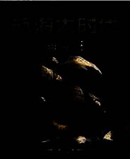 《航海大时代：海盗王》简体中文硬盘版