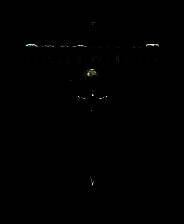 《太空战舰：死亡之翼》测试版 3DM简体中文硬盘版