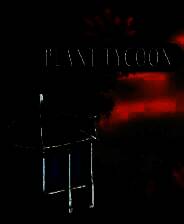 《养花大亨》英文免安装版