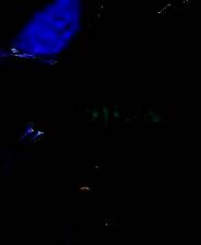 《比斯敦传说》中文免安装版