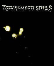 《受折磨的灵魂》英文免安装版