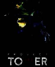 《塔楼计划》官方版