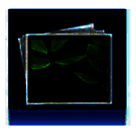 iPubsoft Photo Recoveryv2.2.16