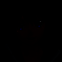 高校模拟少女僵尸 V1.0