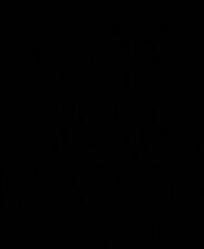 《动物逻辑拼图》英文免安装版