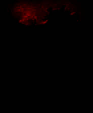 《见证者》中文版