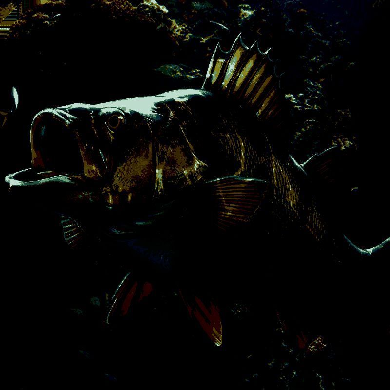 欢乐钓鱼大师 无实名认证 V1.0