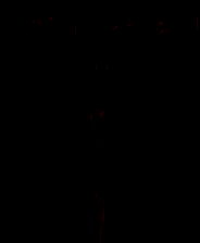 《黑暗秘密4：阴影之花》简体中文免安装版