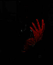 《犯罪现场清洁工》电脑版