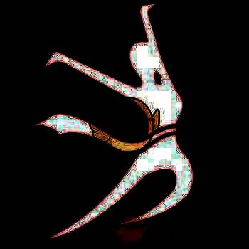 就爱广场舞 V2.8.0