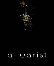 《水族馆》 v20250313升级档+未加密补丁[TENOKE]