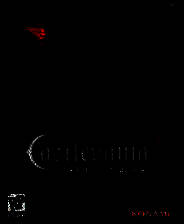 《恶魔城：暗影之王2》免安装中文版