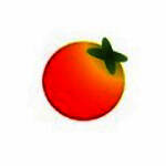 《番茄人生》官方版