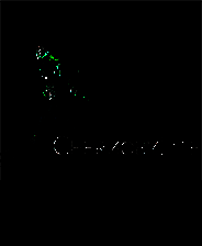 《切尔诺贝利人》 v50563升级档+未加密补丁[RUNE]