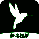 蜂鸟视频 下载安装新版本 V1.0.0