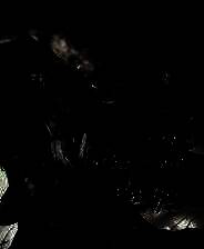 《哀鸿：城破十日记》游戏库