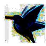 百度VS腾讯OCR图片批量识别转文字工具v1.51