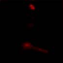 谁是你邻居 V1.7