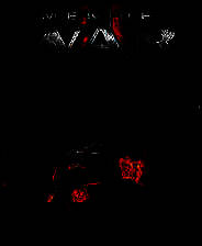 《战争之人2》 v1.042升级档+未加密补丁[RUNE]