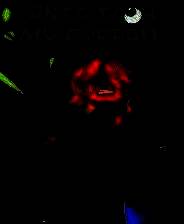 《Ants Took My Eyeball》免安装英文版