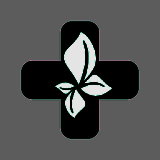 名医传世 V1.10.4