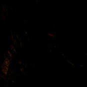 步行王者 免广告版 V0.2.2