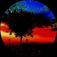 爱枫英语学习 最新版 V1.0