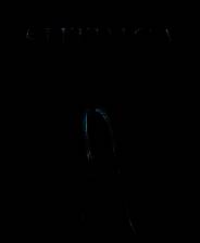 《吸血女巫：夏令营》简体中文免安装版