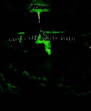 《驯龙高手：新骑士的黎明》 中文免安装版