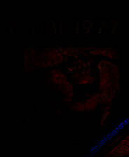 《皮特瑞1977》英文免安装版