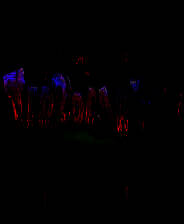 《Terrorarium》英文免安装版