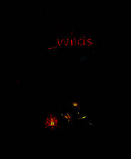 《星际拓荒》中文版