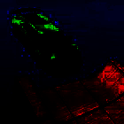 汽车特技模拟器 免广告版 V1.8.3