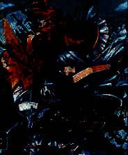 《精灵剑客》 日文日版PS3版